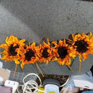 Vibrant Orange Sunflower Stems